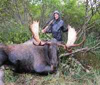 Moose Hunting the Alaska Peninsula