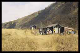 Guided Kodiak Bear Hunting Trips in Alaska