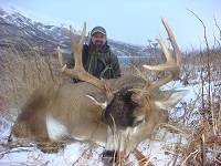 Rare Blacktail Deer Hunting in Alaska